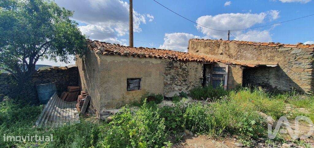 Terreno para construção em Alcoutim e Pereiro - Grande imagem: 3/27