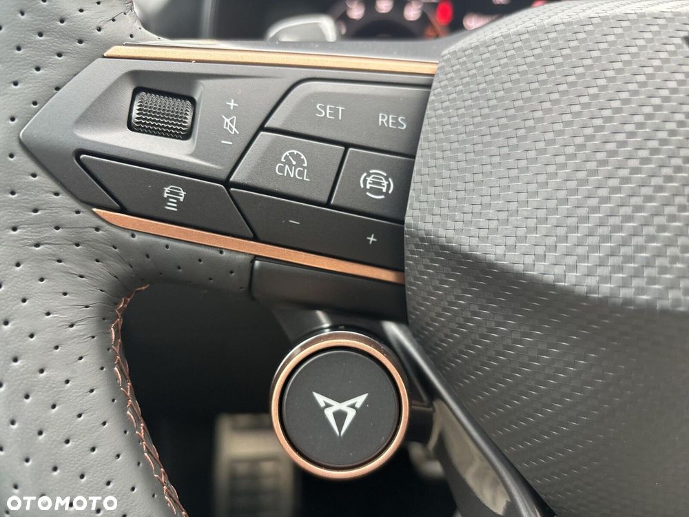 Cupra Formentor 2.0 TSI 4Drive DSG - 20