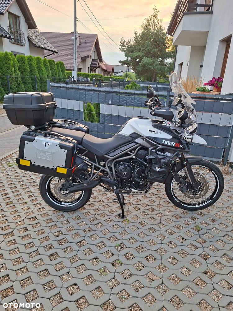 Triumph Tiger - 1