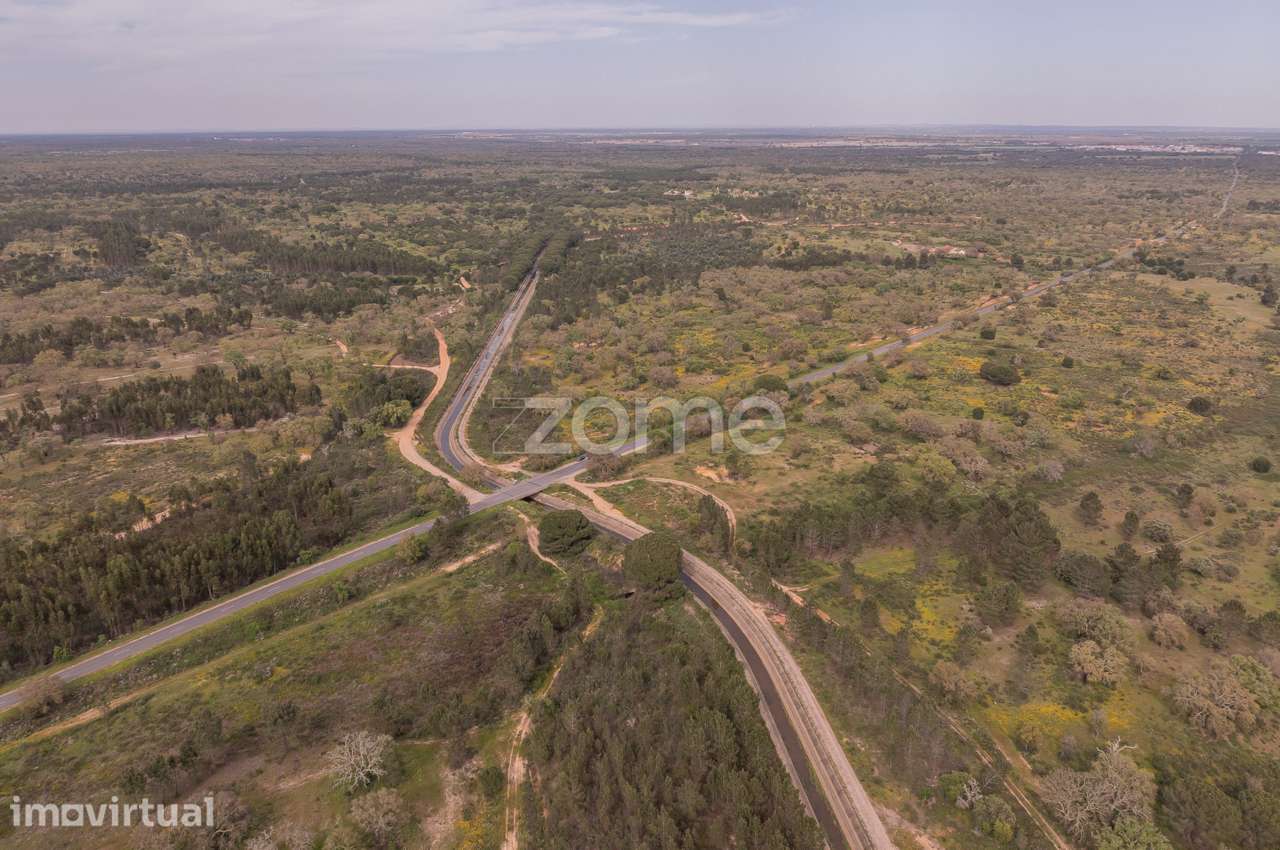 Herdade em Alvalade - Santiago do Cacém - Grande imagem: 3/22