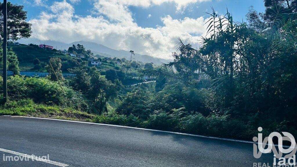 Terreno Agrícola em Santana - Grande imagem: 3/39
