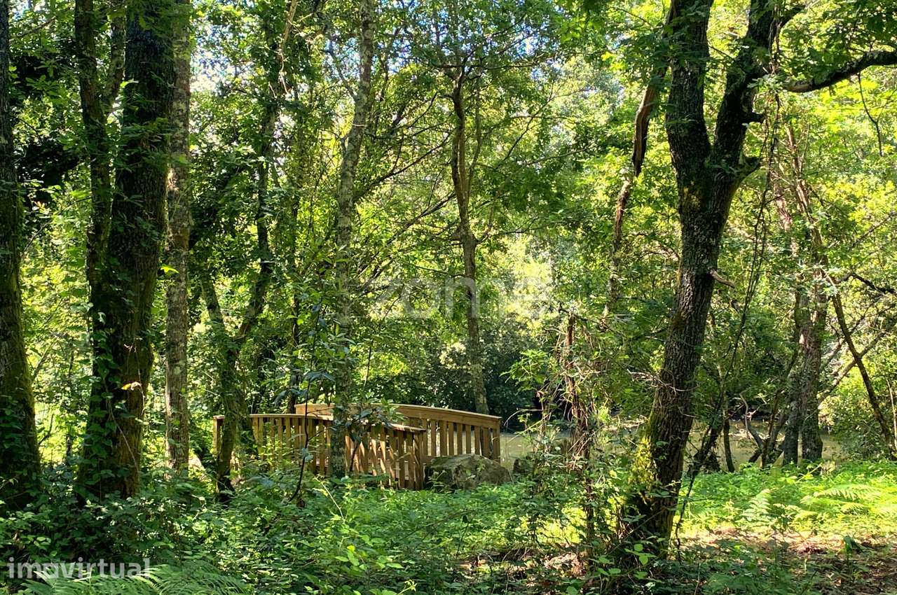 Terreno com Potencial para Turismo em Espaço Rural, Forjães, Espose... - Grande imagem: 5/15