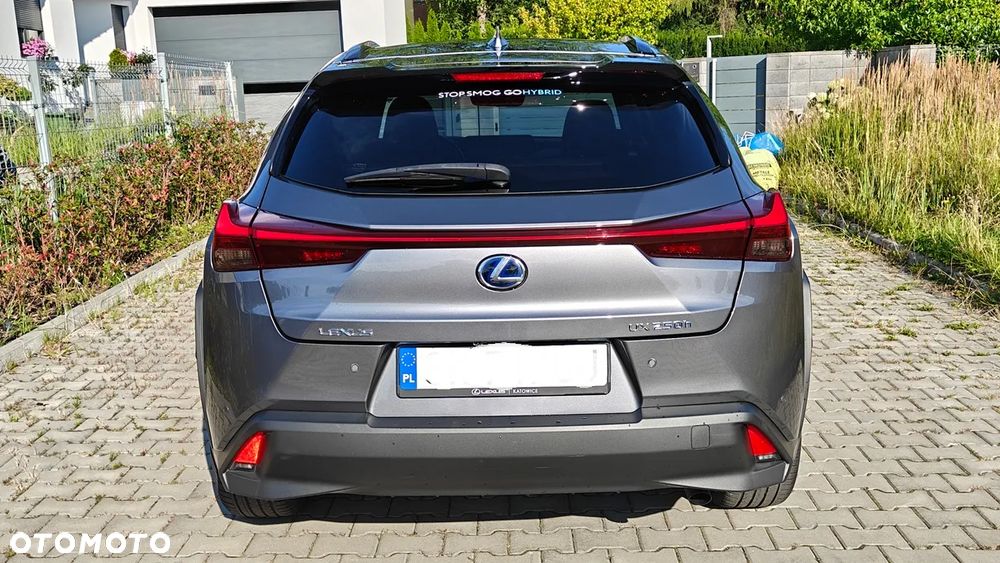 Lexus UX 250h Elegance 2WD - 6