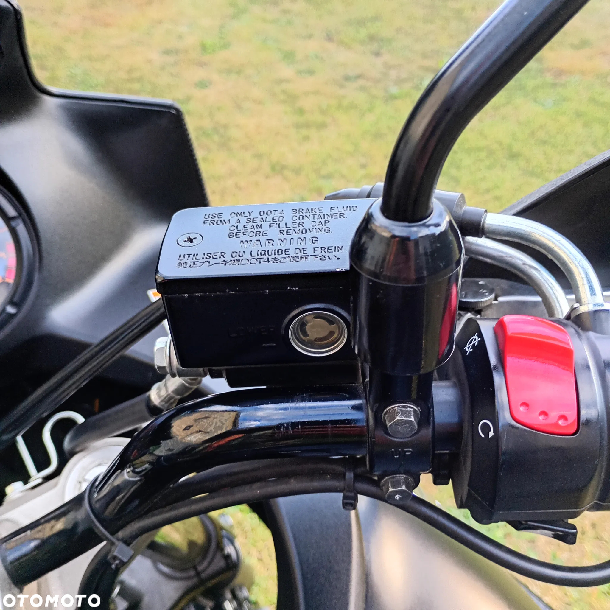 Suzuki DL - 10