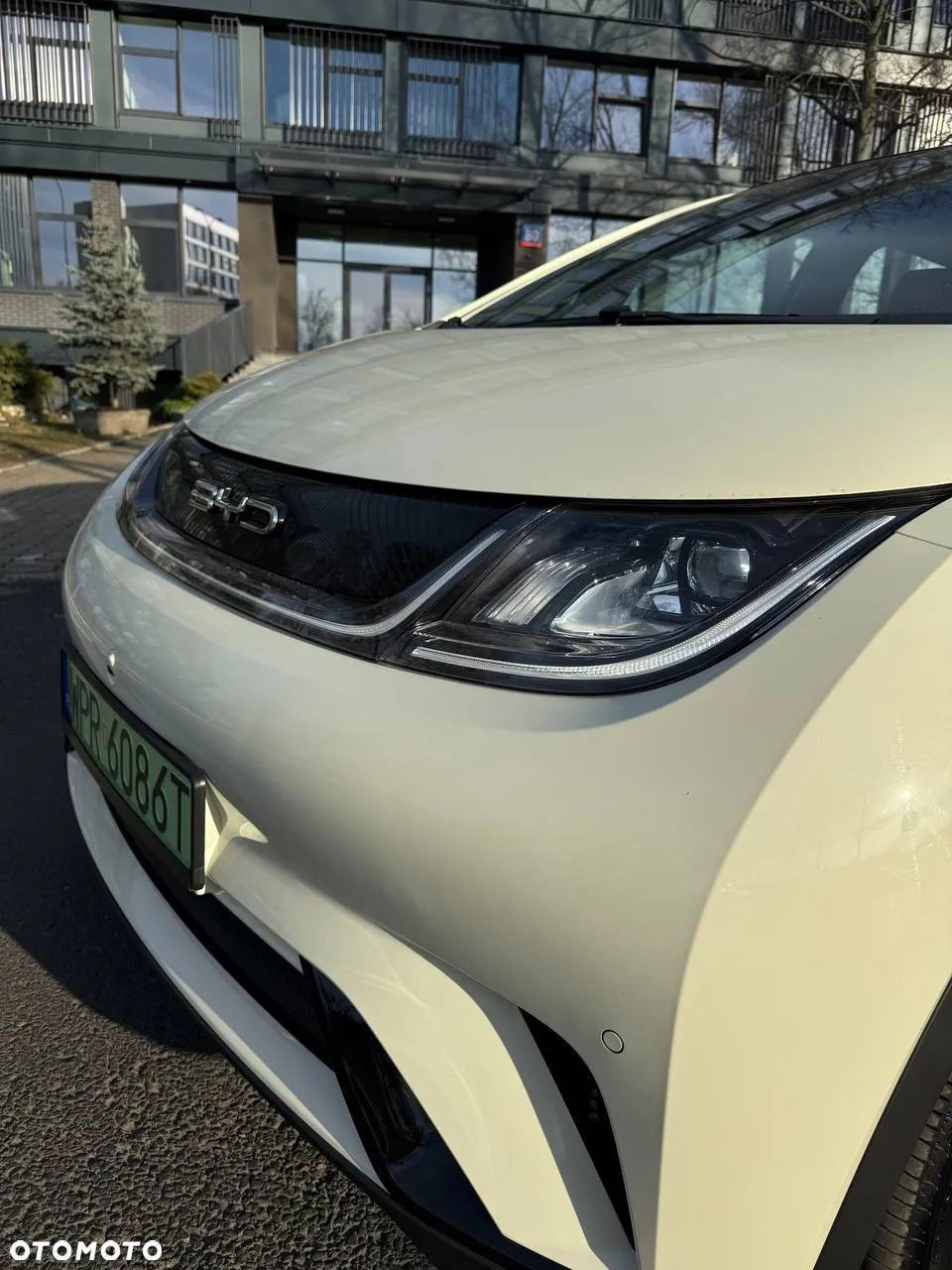 BYD Dolphin Active - 3