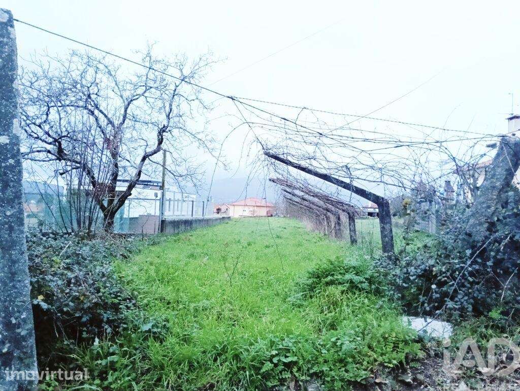 Terreno para construção em Geraz do Lima e Deão - Grande imagem: 2/2