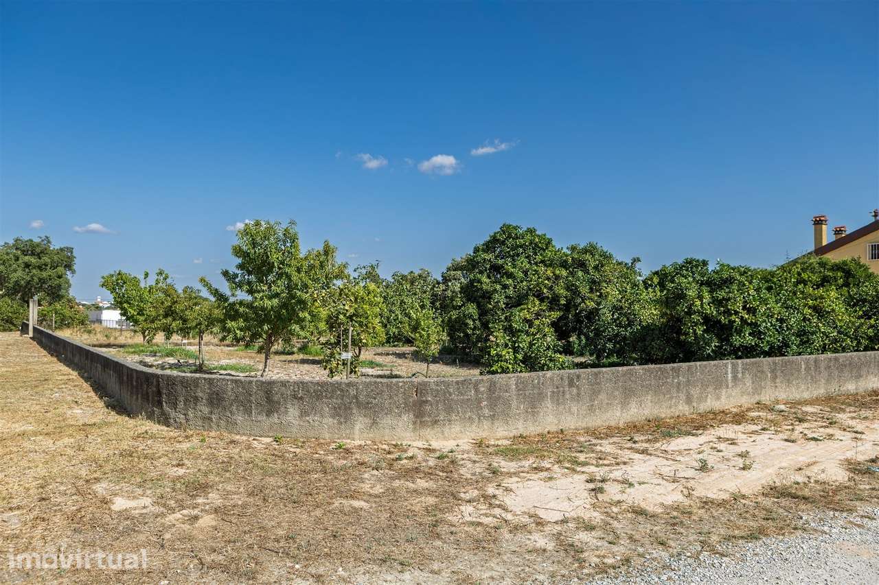 Terreno Para Construção  Venda em Vendas Novas,Vendas Novas - Grande imagem: 4/11