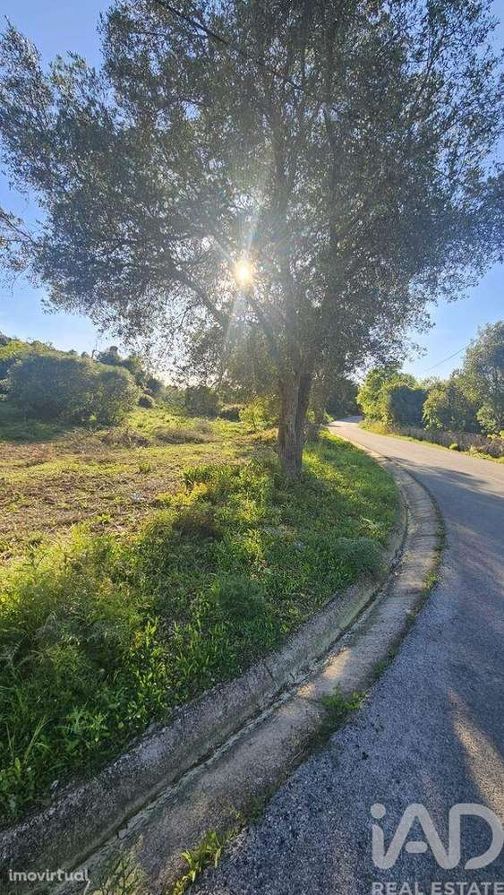 Terreno em Loulé (São Clemente) - Grande imagem: 2/8