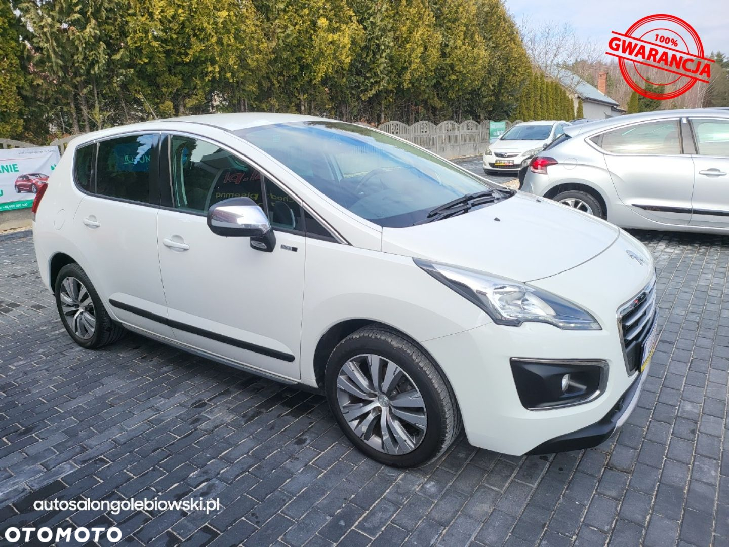 Peugeot 3008 - 19