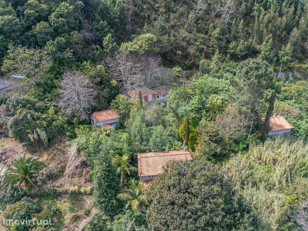 Moradia T6 para venda - Grande imagem: 4/16