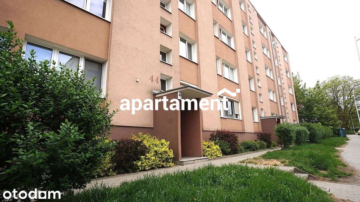 3 pokojowe Blisko Centrum- ul. Ogrodowa