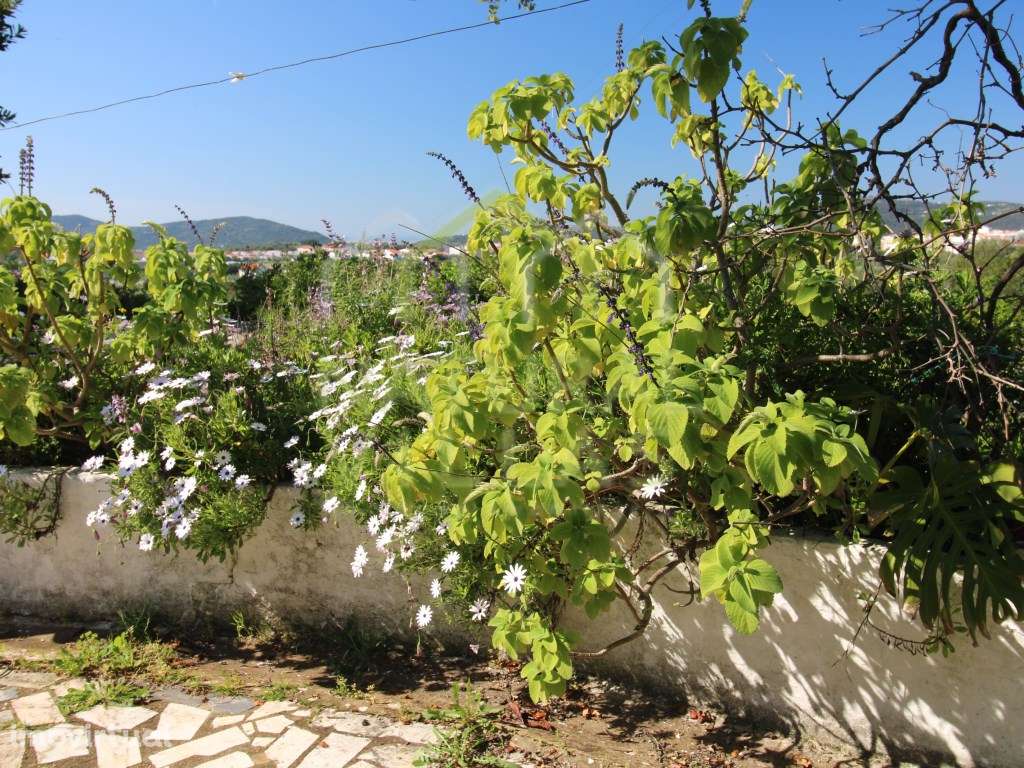 Casa Tradicional T2 com Vista Panorâmica em São Brás de Alportel - Grande imagem: 5/6