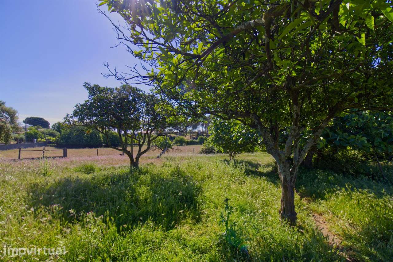 Quinta - Grande imagem: 5/12