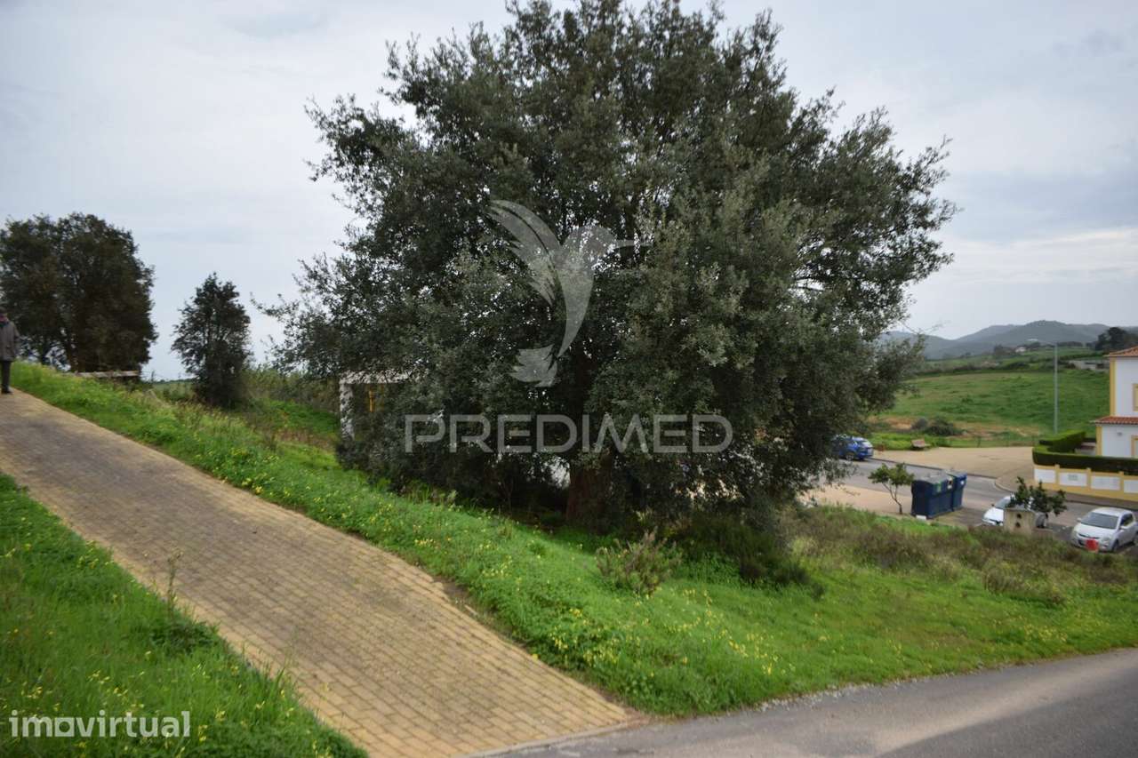 Lote para moradia, Cercal do Alentejo - Grande imagem: 5/11