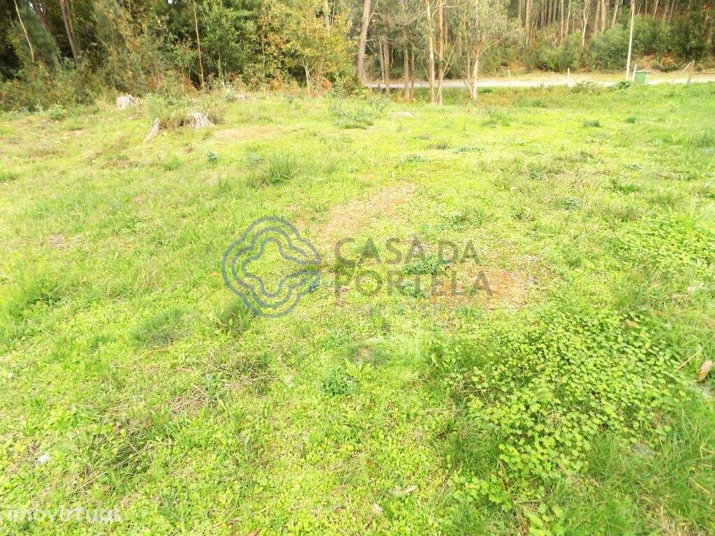 Terreno com 8620 M2. Junto ao Nó da Autoestrada A1. - Grande imagem: 3/12