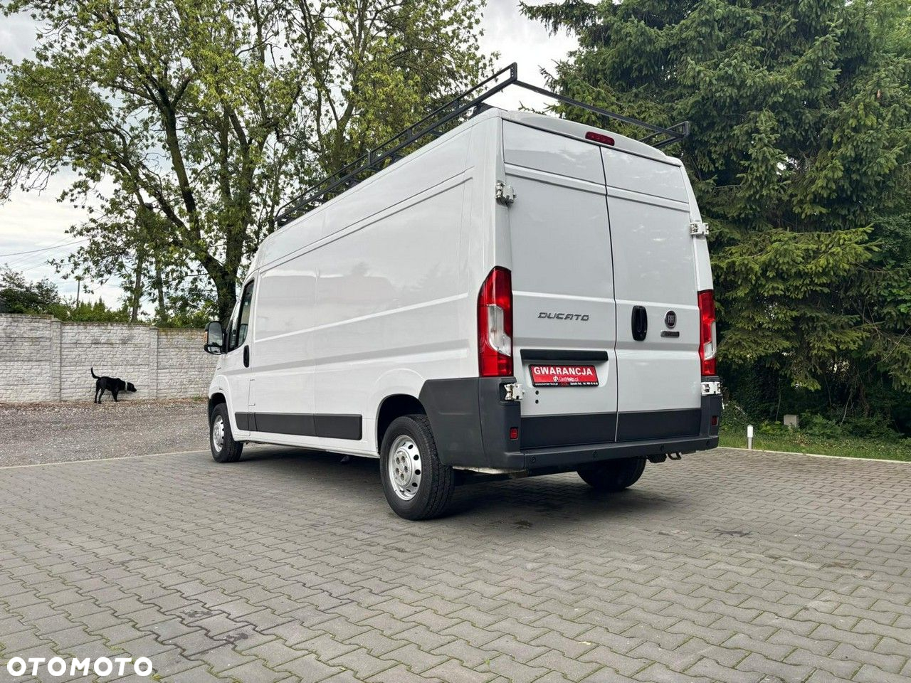 Fiat Ducato - 4