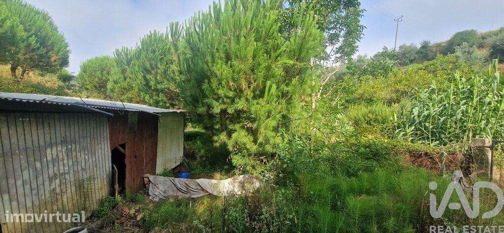 Terreno Agrícola em Azueira e Sobral da Abelheira - Grande imagem: 2/38