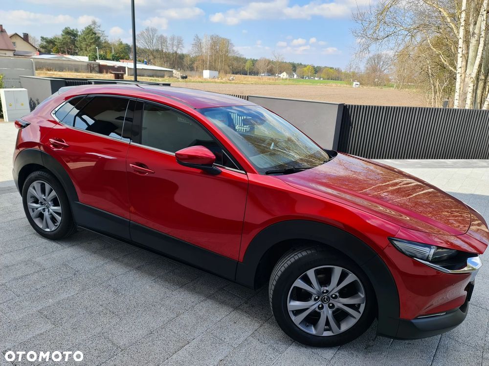 Mazda CX-30 2.0 mHEV Hikari 2WD - 6