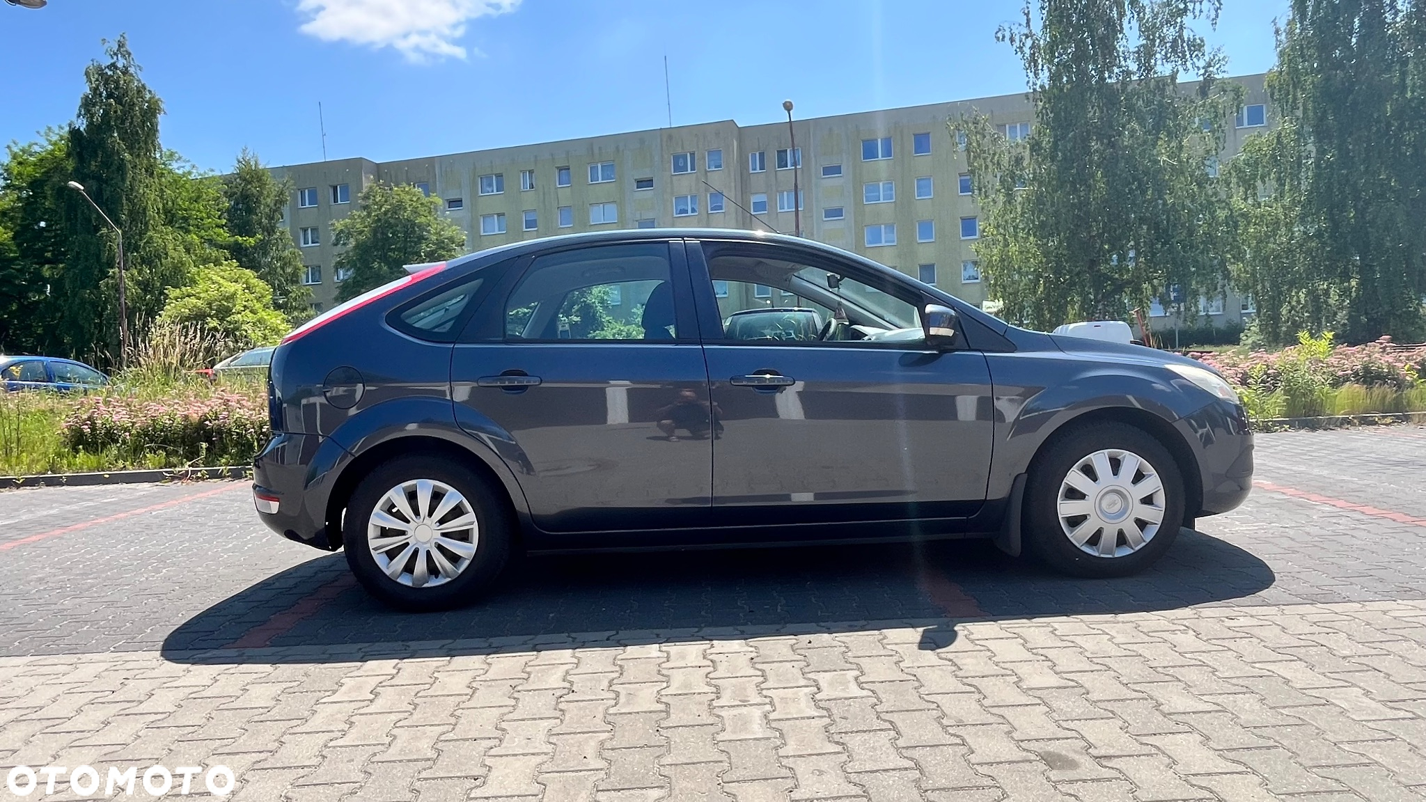 Ford Focus - 7