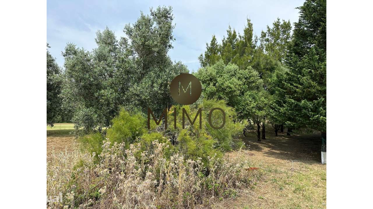 Terreno Quinta da Beloura vista Golfe - Grande imagem: 2/15