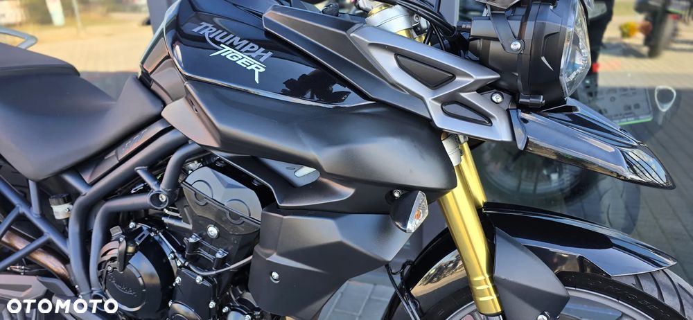 Triumph Tiger - 9