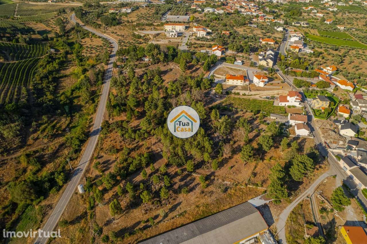 Terreno Rústico em Ferreirim - Grande imagem: 3/10