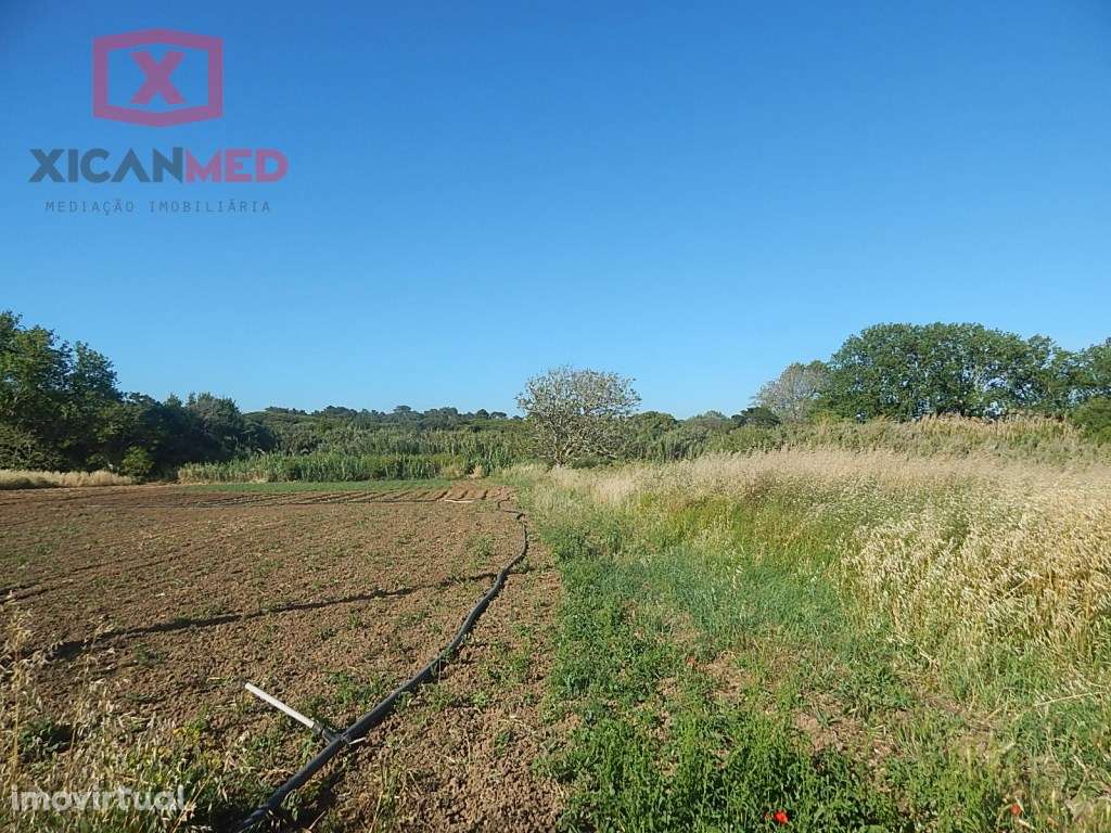 Colares, Terreno Agro florestal - Grande imagem: 3/7