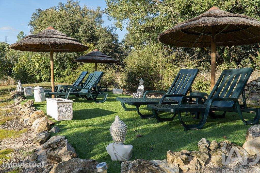 Quinta rural T7 em Areias e Pias de 500 m2 - Grande imagem: 5/40