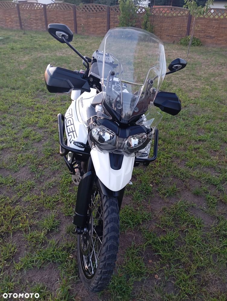 Triumph Tiger