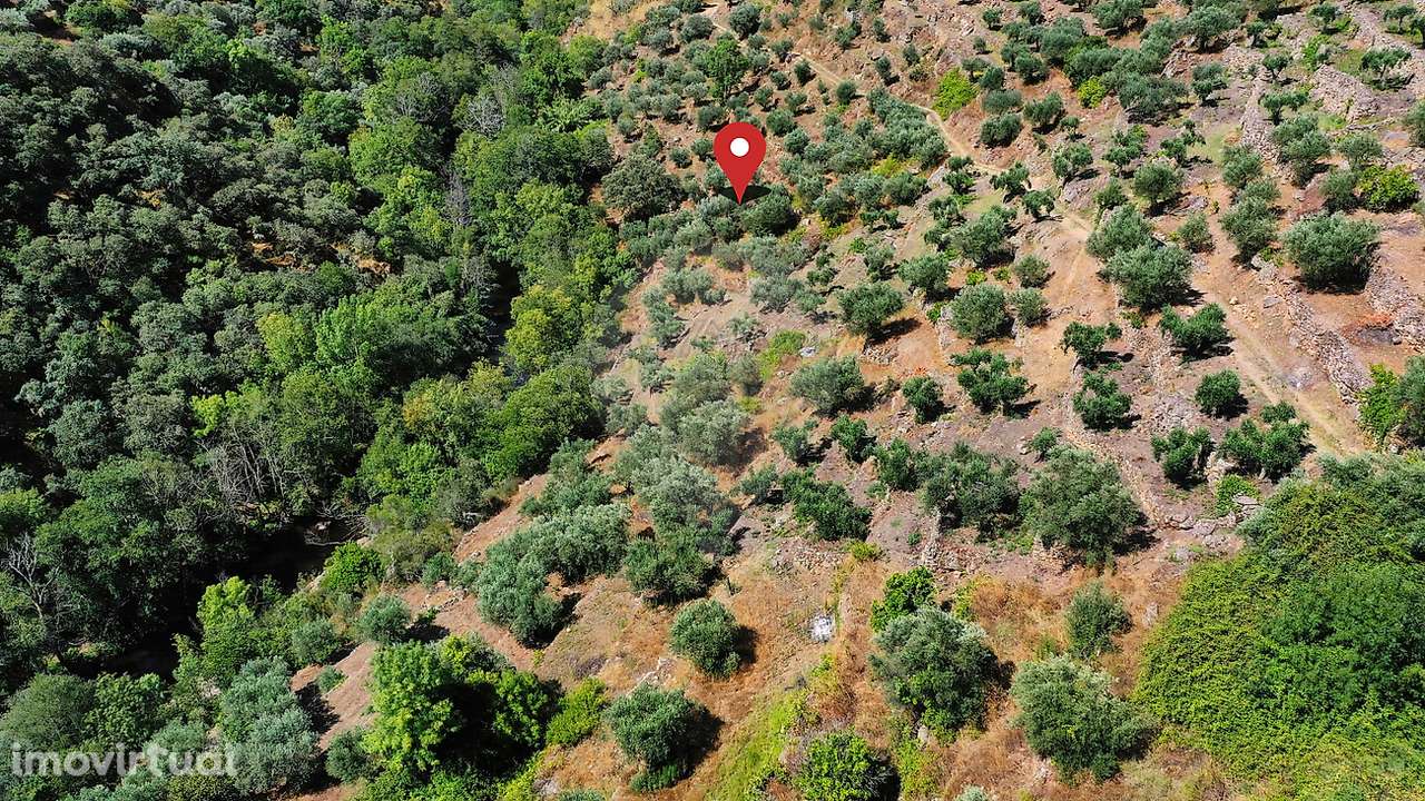 Terreno  para venda - Grande imagem: 5/5