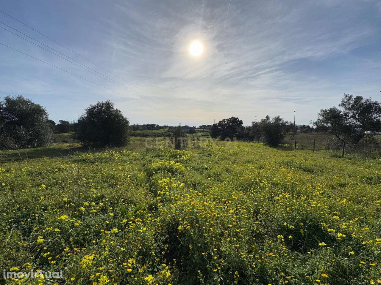 Quinta com 34.920 m2 junto à circular externa do Montijo - Grande imagem: 5/18