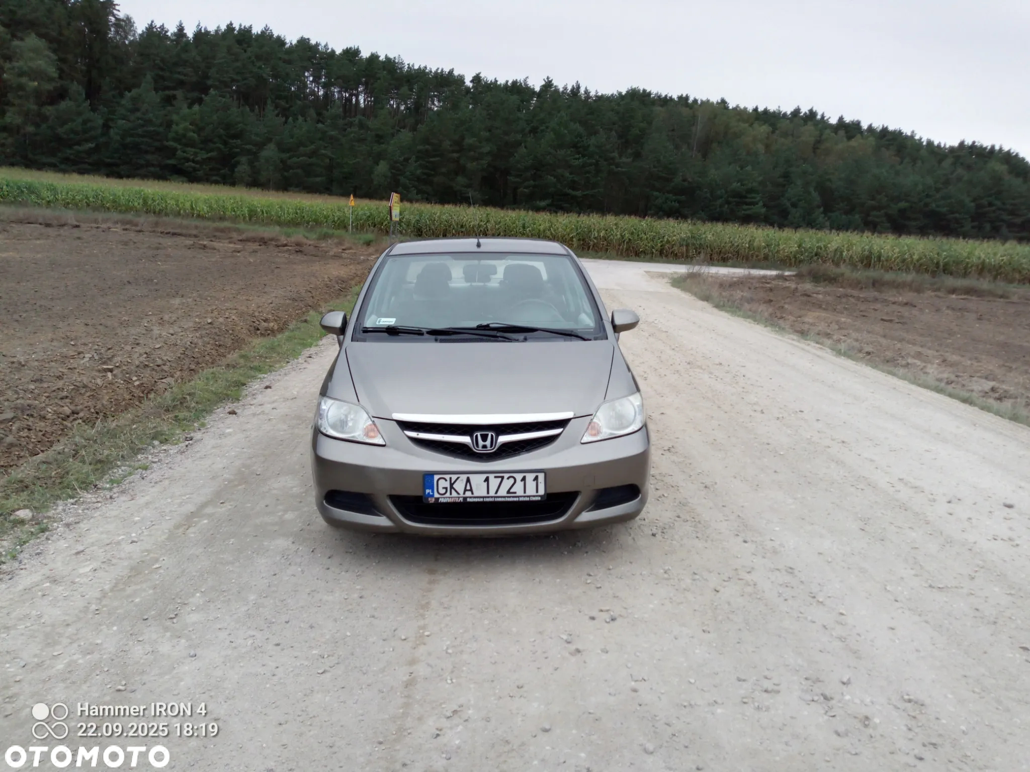 Honda City - 6