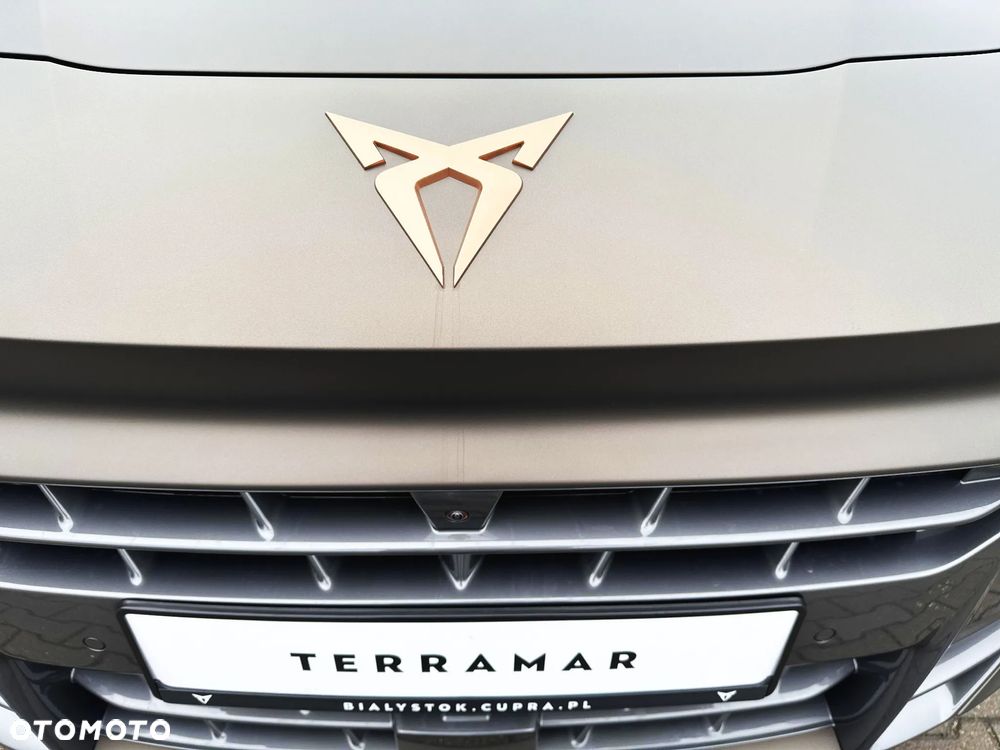 Cupra Terramar 2.0 TSI 4Drive Advantage Edition DSG - 21