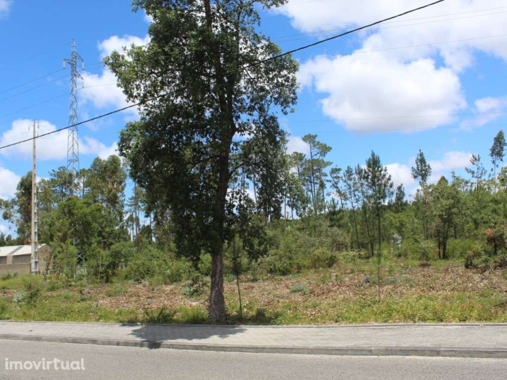 Terreno c/ 6970m2 - Grande imagem: 4/4