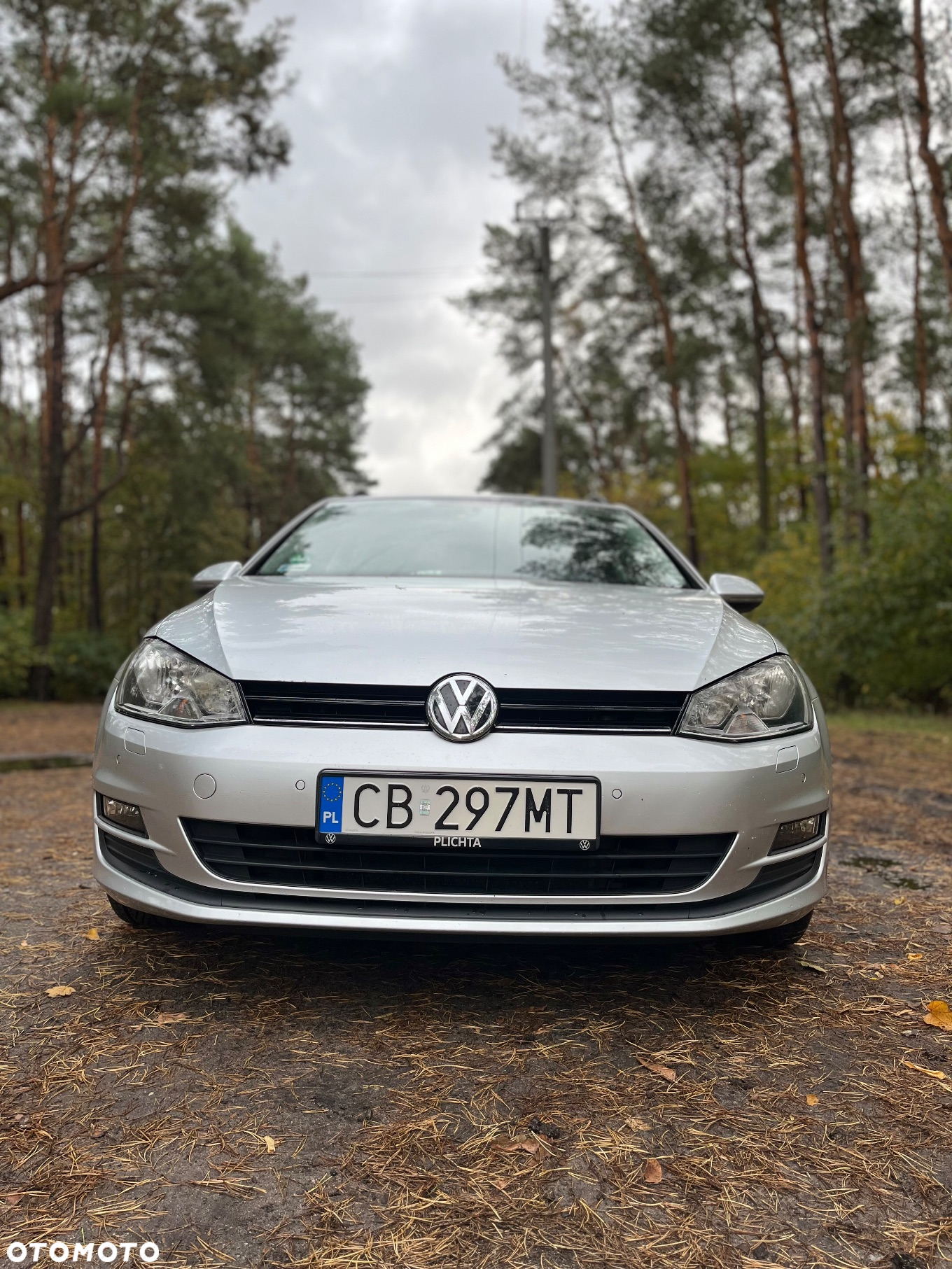 Volkswagen Golf - 2