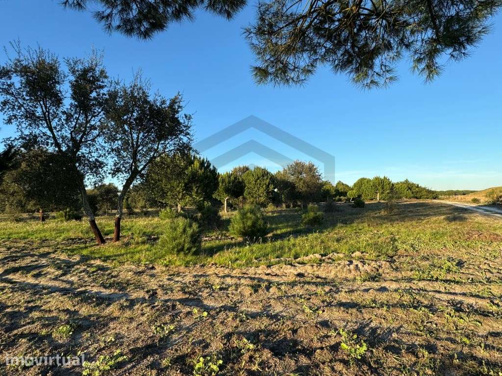 Terreno com 50.000m2 Rústico, possível construir moradia, em Pegões - Grande imagem: 5/17