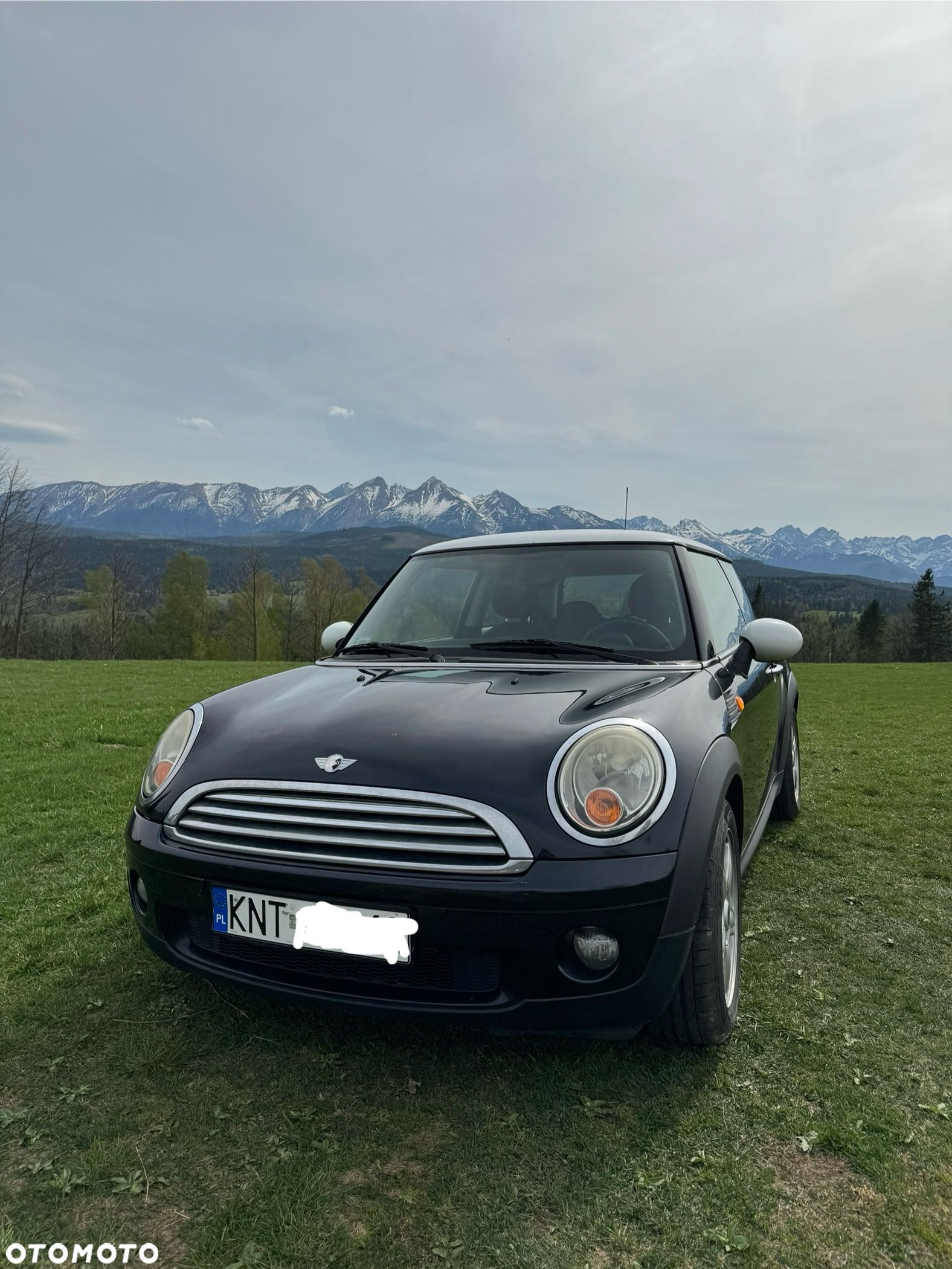 MINI ONE Standard - 1