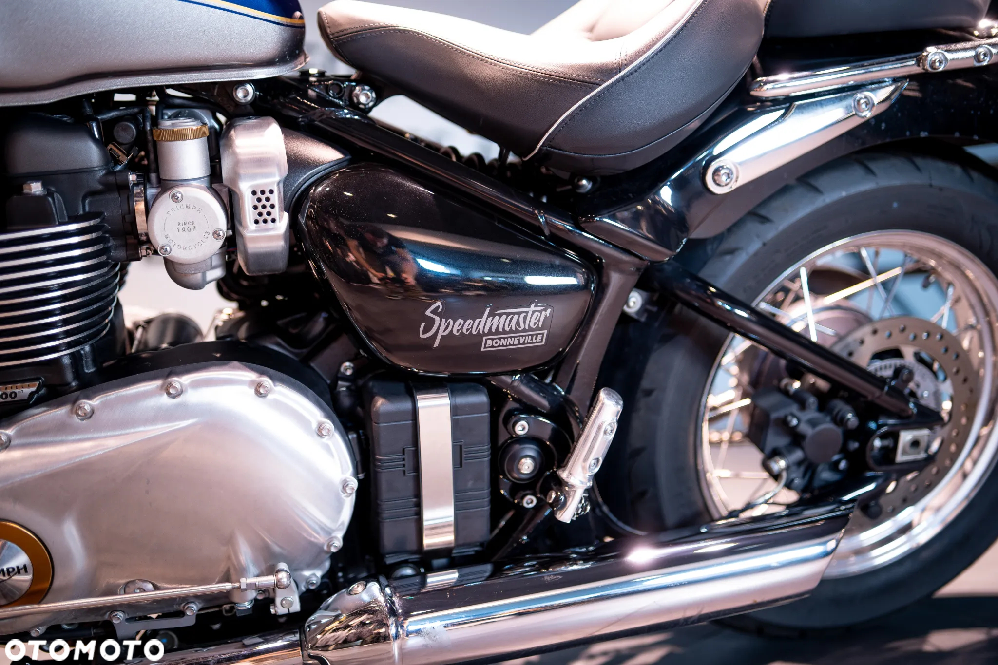 Triumph Speedmaster - 32