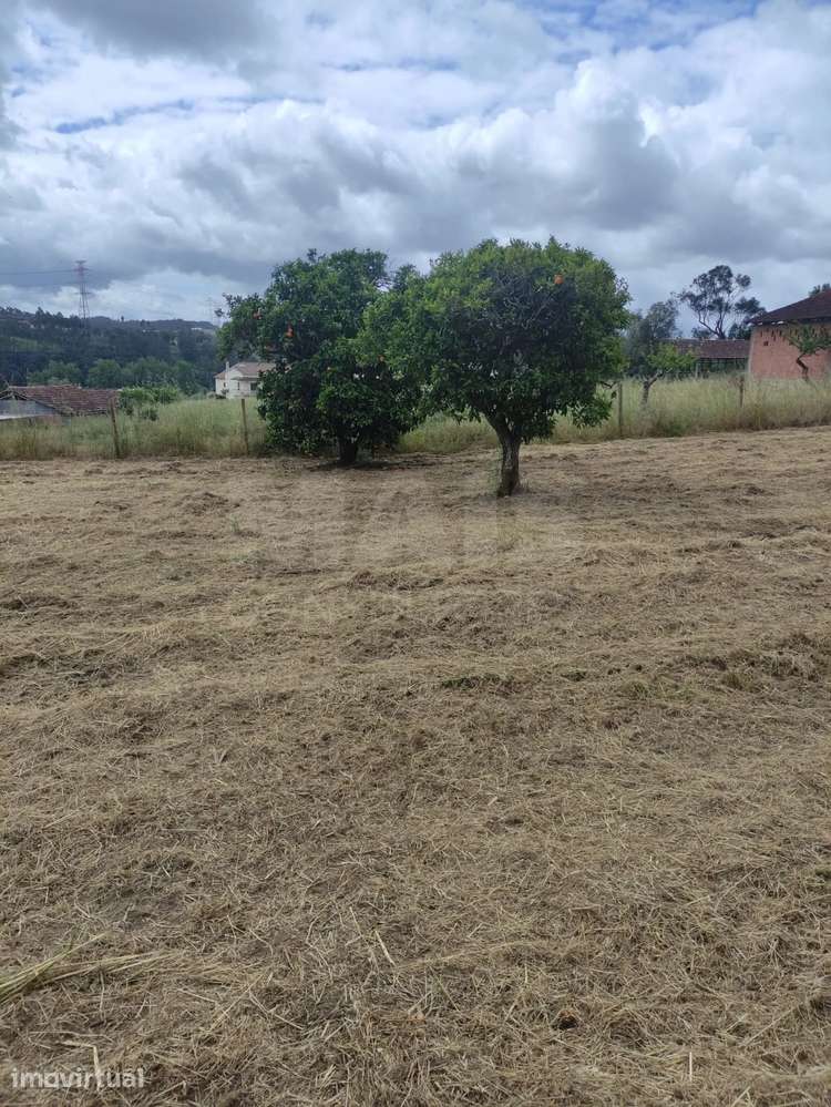 Lote de Terreno em Leiria - Grande imagem: 5/14