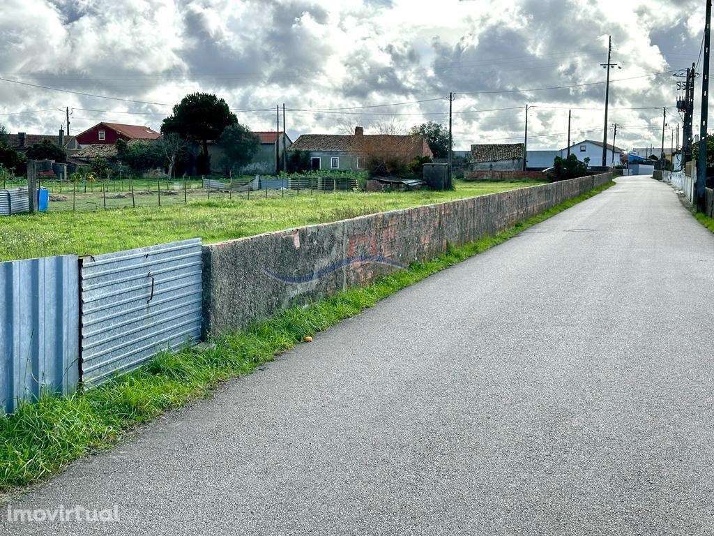 Terreno - Carvide - Grande imagem: 4/13