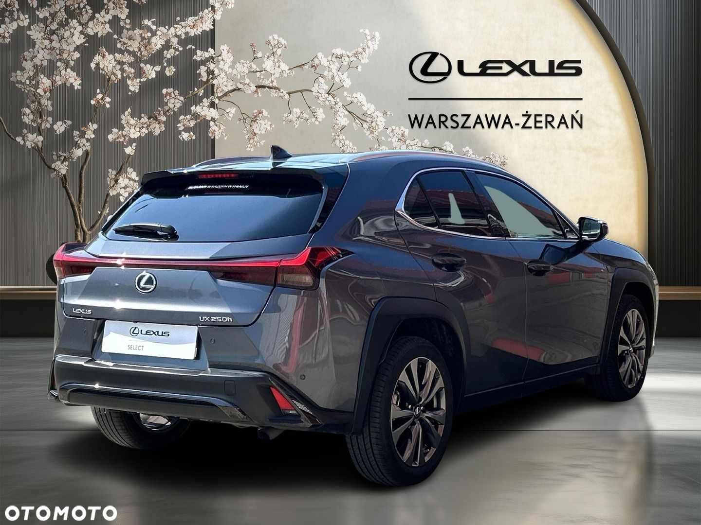 Lexus UX 250h GPF F Sport Design 2WD - 7