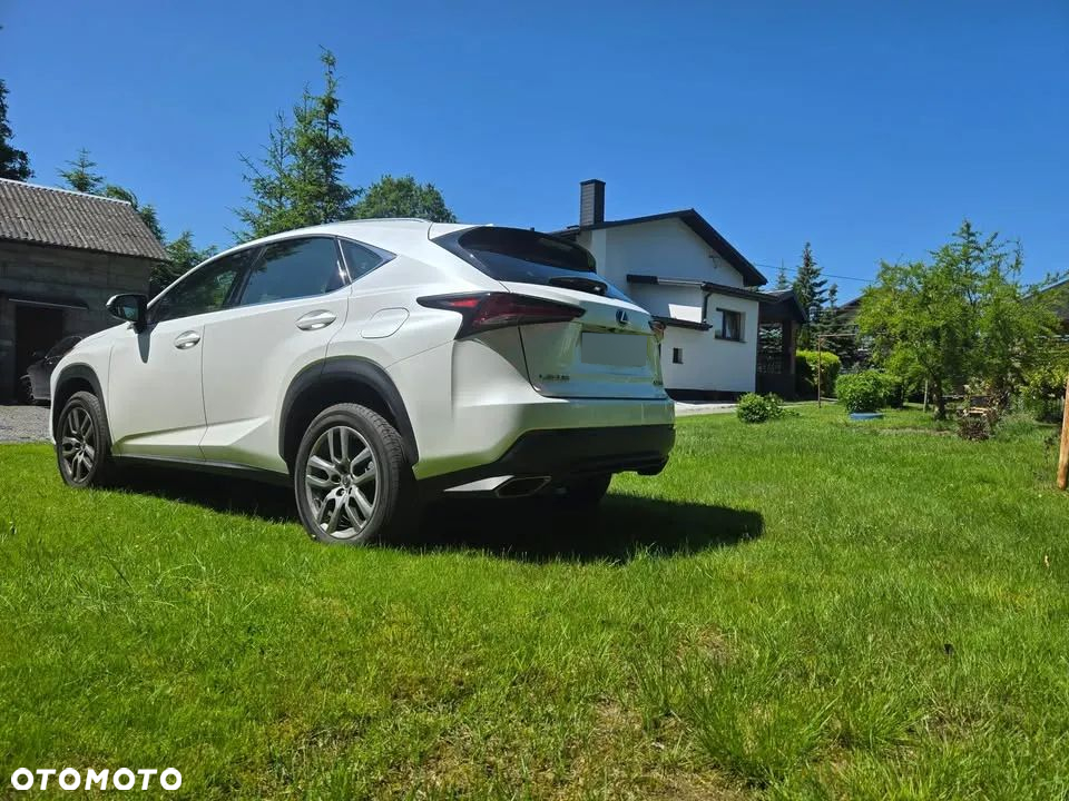 Lexus NX 300 Business Edition AWD - 2