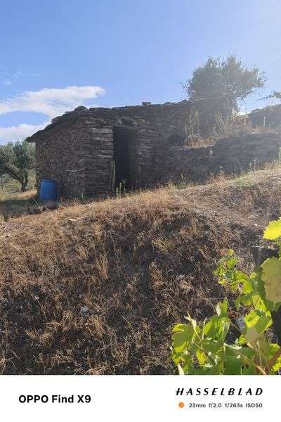 Terreno agrícola