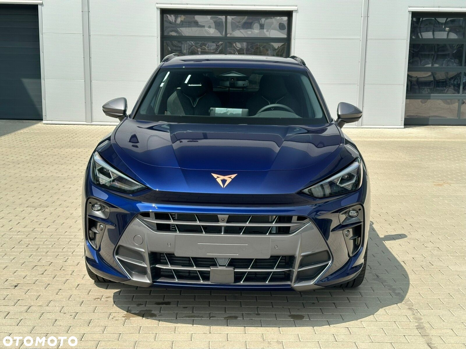 Cupra Terramar - 3