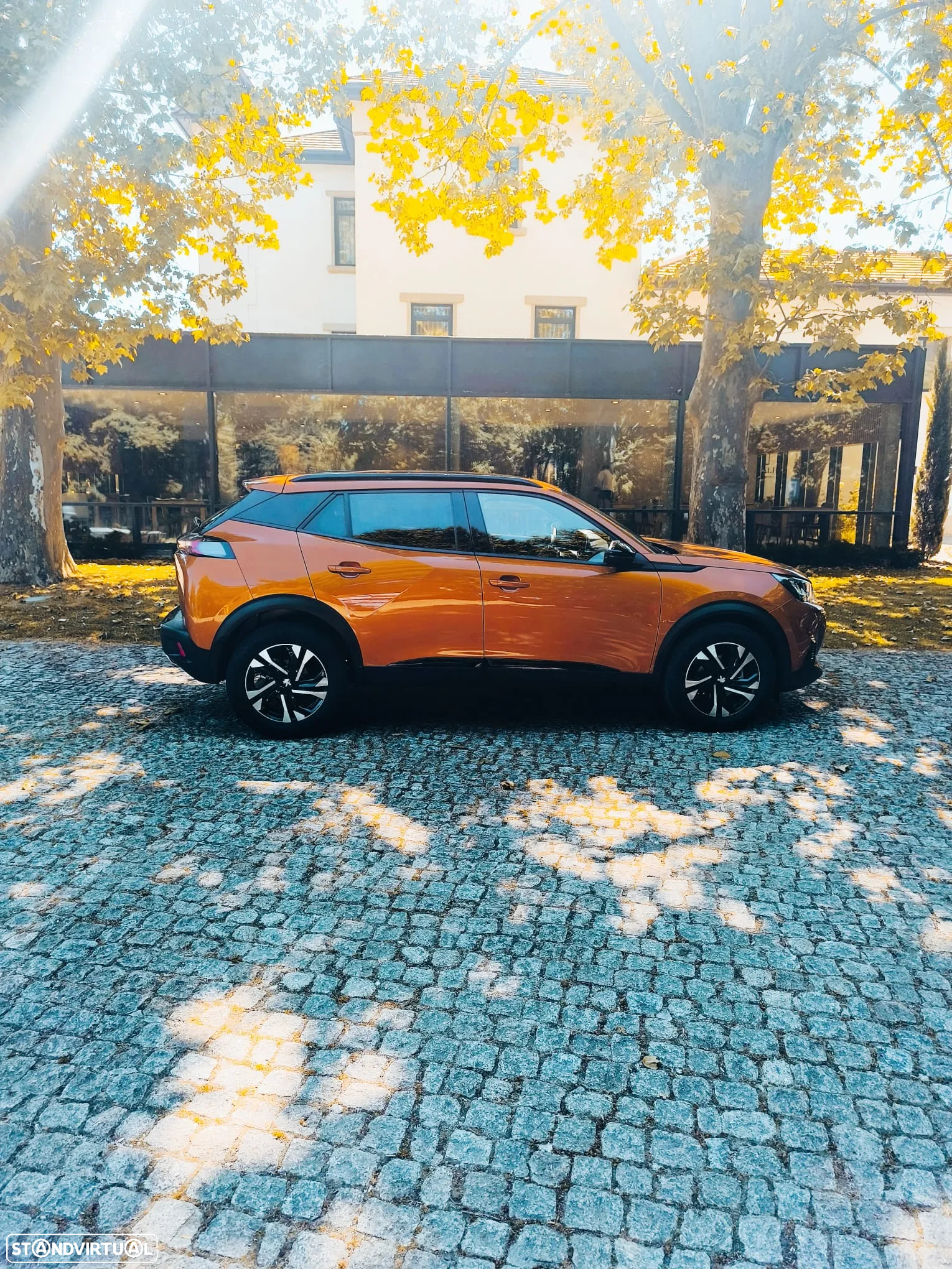 Peugeot 2008 - 5