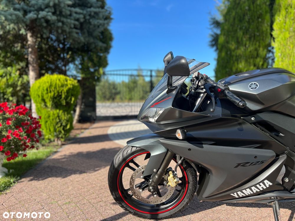 Yamaha YZF - 24