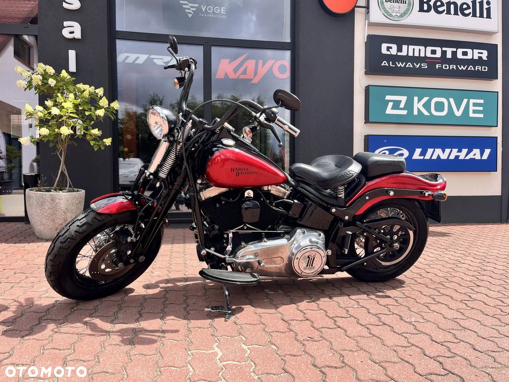 Harley-Davidson Softail Cross Bones - 5