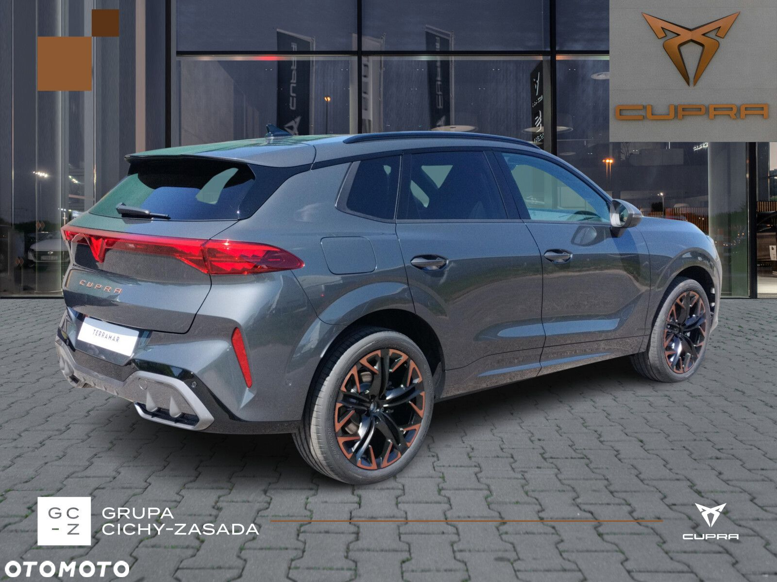 Cupra Terramar 2.0 TSI 4Drive DSG - 5
