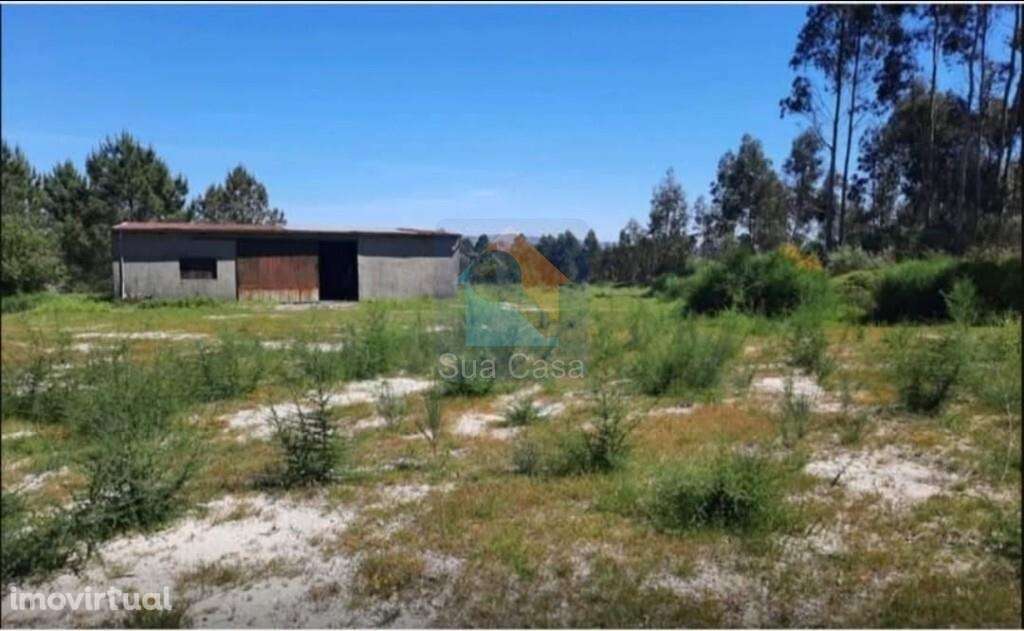 Venda Armazém - Grande imagem: 4/8