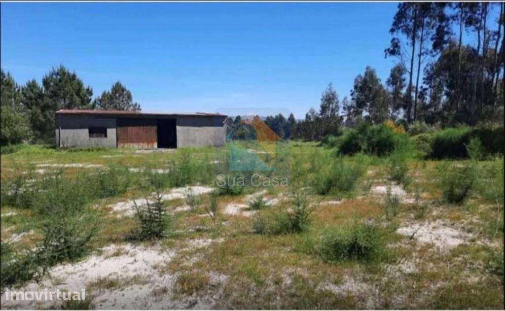 Venda Armazém - Grande imagem: 4/8